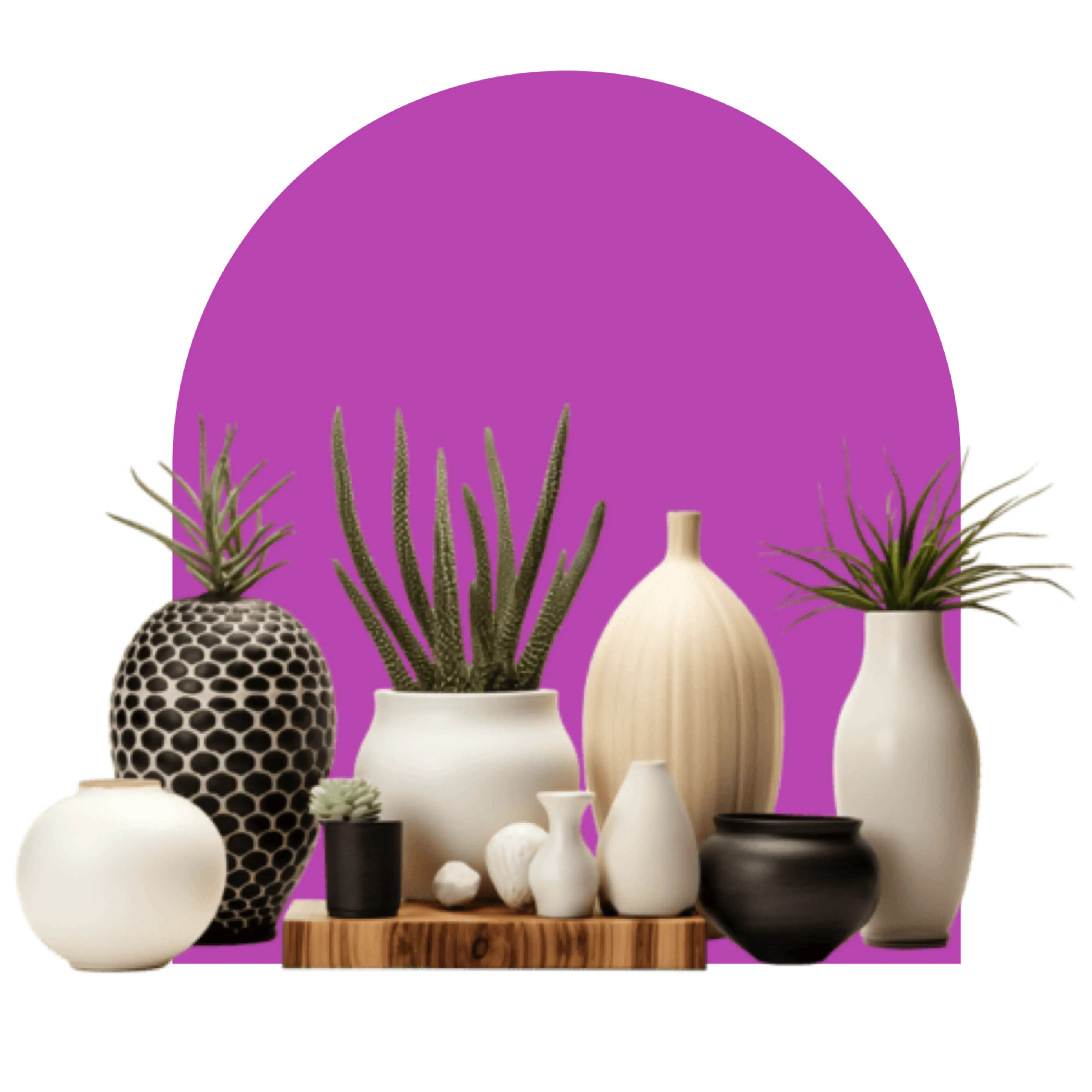 collection-img